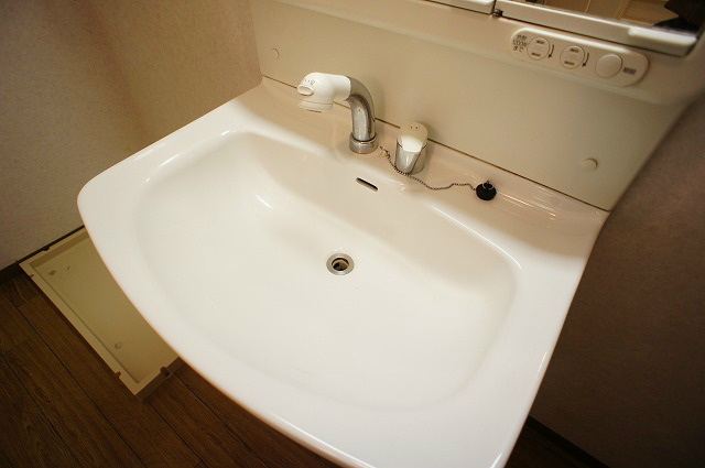 エスポワールKyo 洗面所