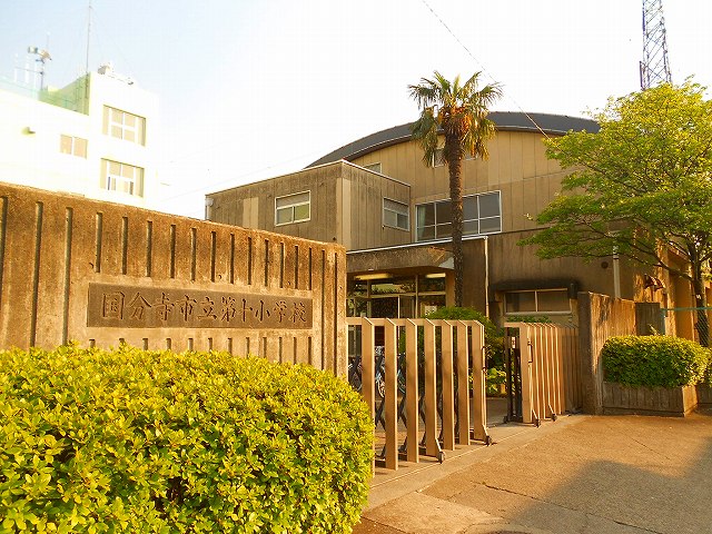 東京都国分寺市戸倉３丁目 小学校