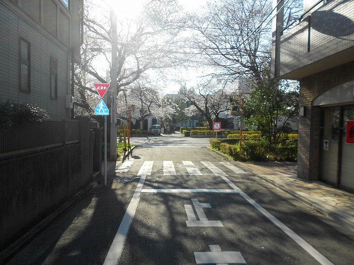 東京都国立市東４丁目 眺望