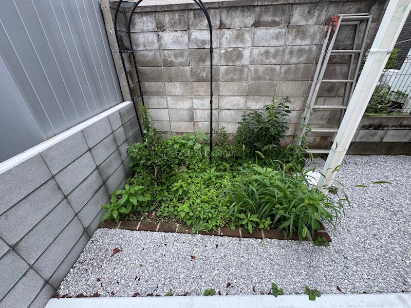 東京都国立市北２丁目 庭