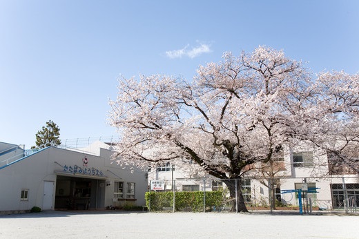 東京都国立市中３丁目 幼稚園