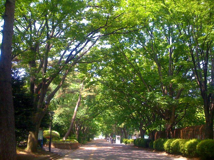 東京都国分寺市東元町３丁目 大学・短大
