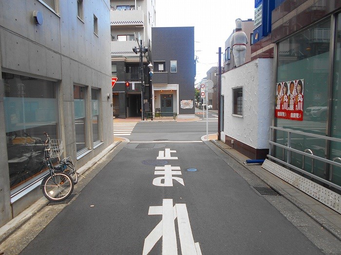 東京都立川市高松町３丁目 眺望