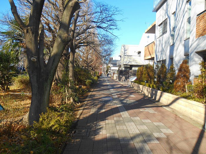 東京都国立市東２丁目 眺望