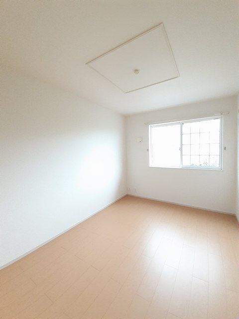 ワンピース その他