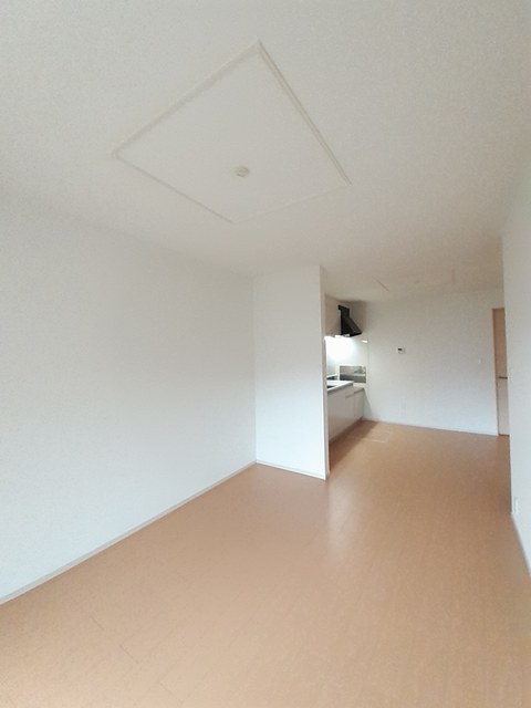 ワンピース その他