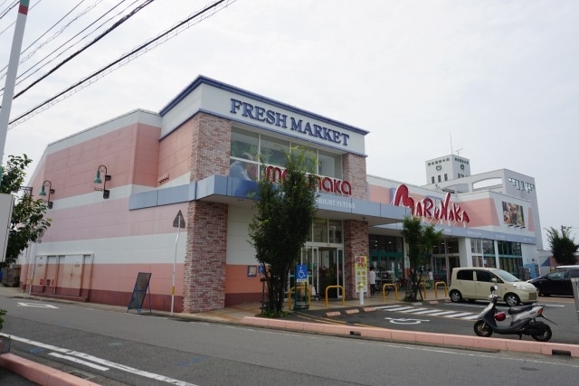 ＡＬＭＯ その他