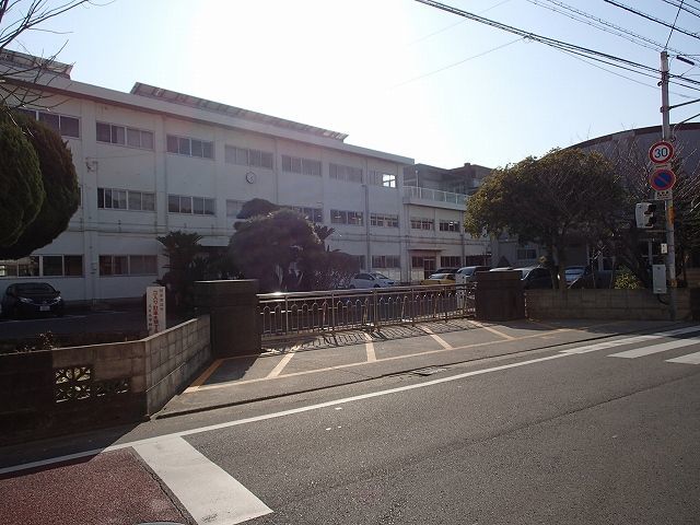 アムール・ハザカＡ その他