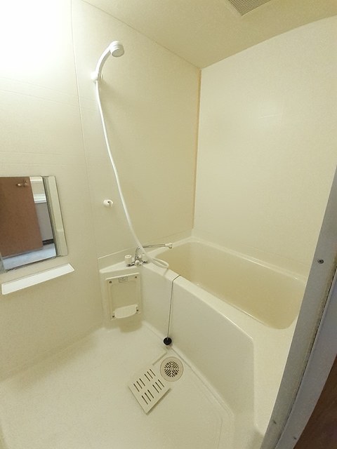 アムール・ハザカＡ 風呂画像