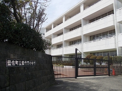 エストレージャ その他
