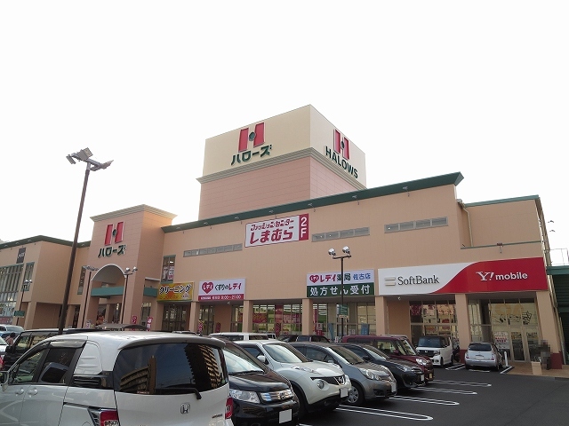 ひなた その他