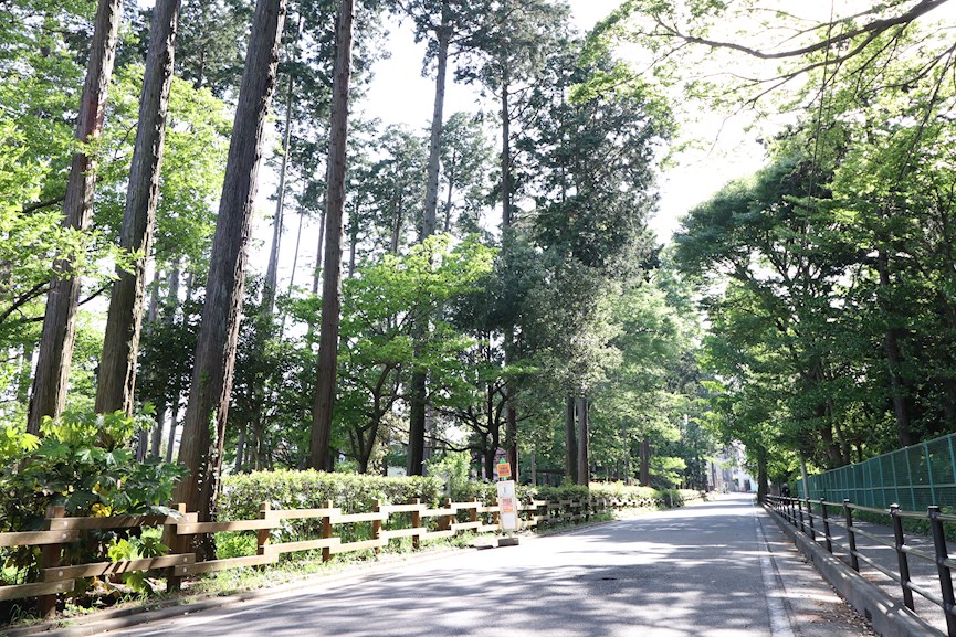 青柳ビル 公園