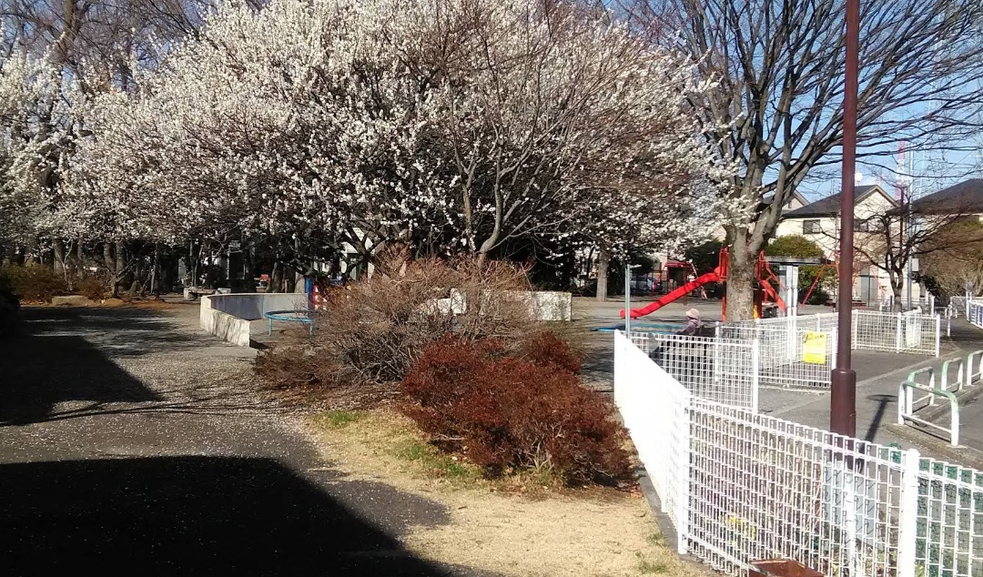 タカーラ・ハーヴェスト壱番館   周辺画像1