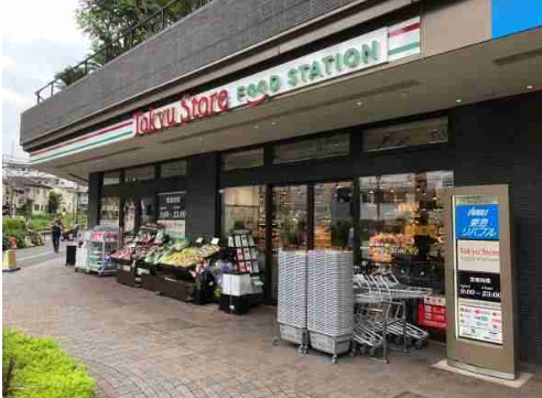 ルシエール旗の台    周辺画像1