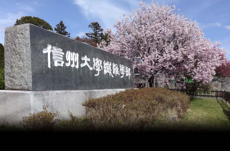 長野県上田市踏入２丁目 大学・短大