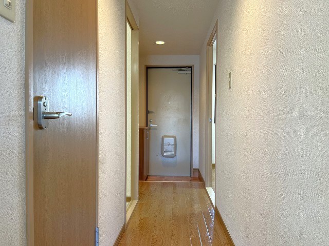 リンピアＳ・Ｙ（Limpia　S・Y） その他