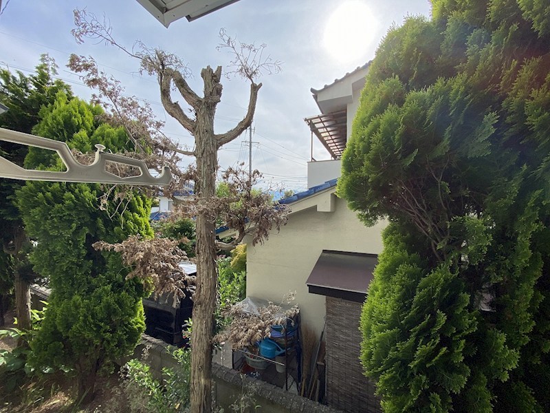 生山荘 ベランダ