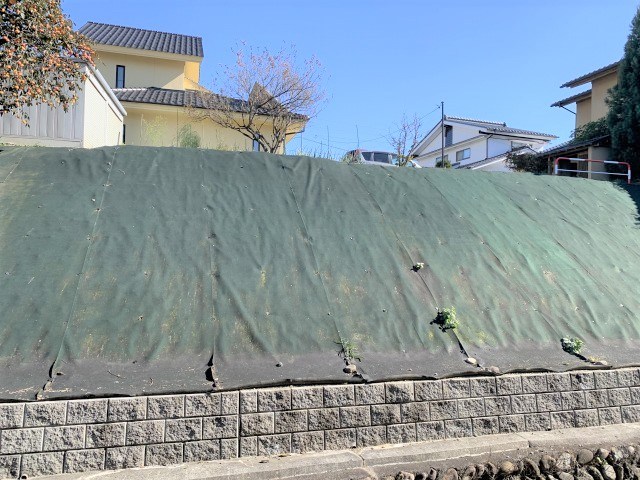 サープラスプリーマ 眺望