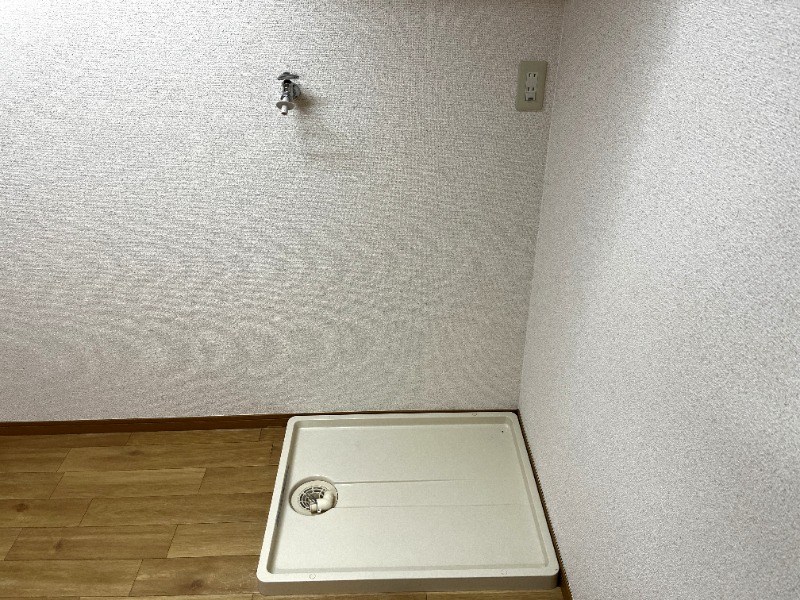 サープラスプリーマ その他