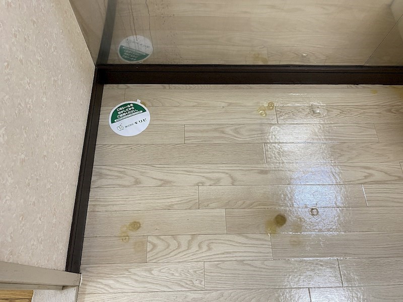 グリーンコートＣ その他