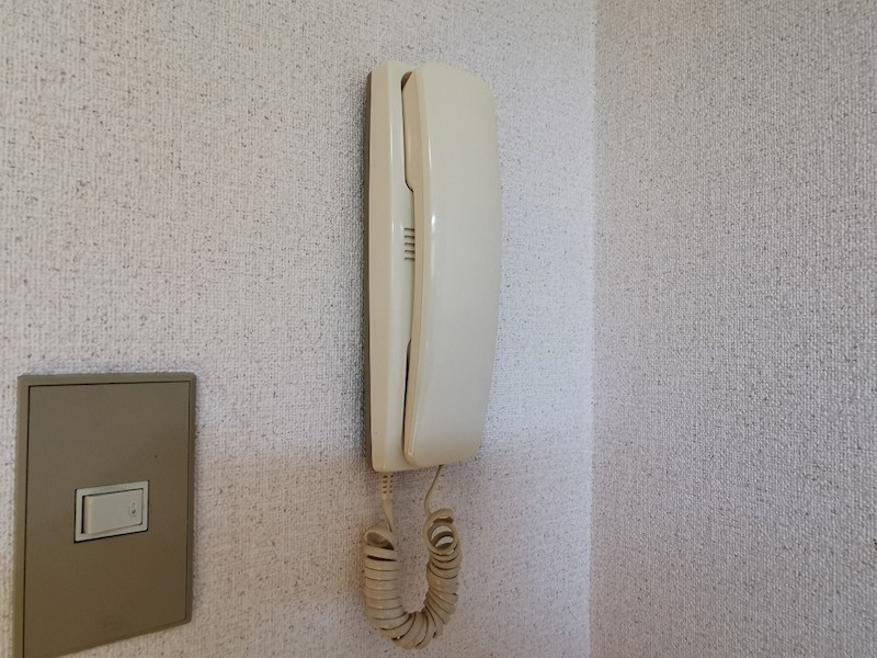 デルトラウム セキュリティ