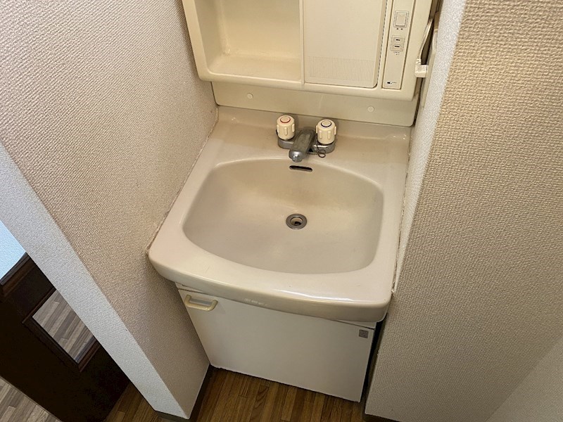 シャトーシャンポール 洗面所
