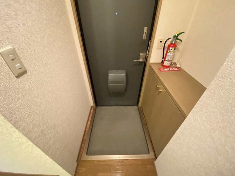 クレセール西沢B 玄関