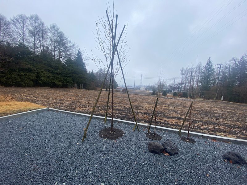 コンフォレスト軽井沢 庭