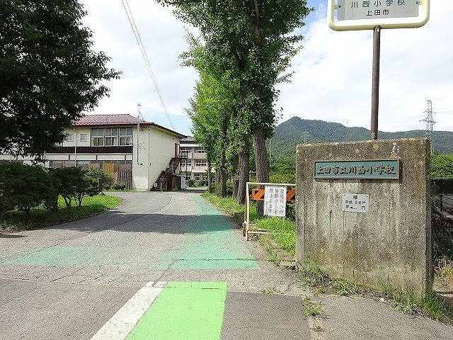 エヴァーグリーン小泉 その他