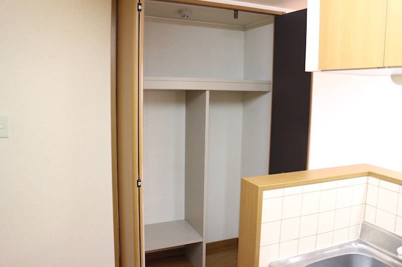 ミレニアム常入 収納