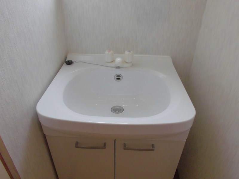 アップルハイツ 洗面所