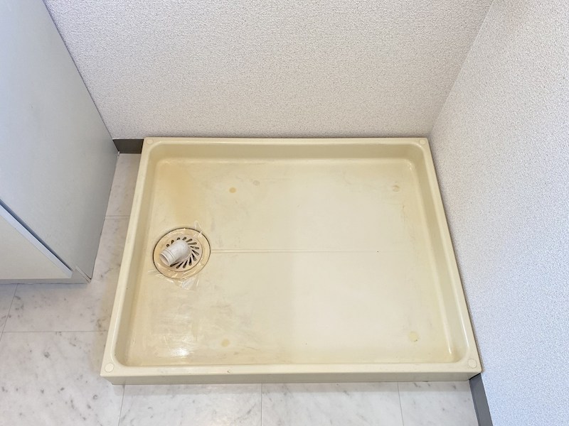 パルメゾントモエ その他