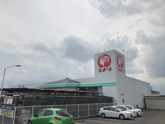ドゥーセット その他