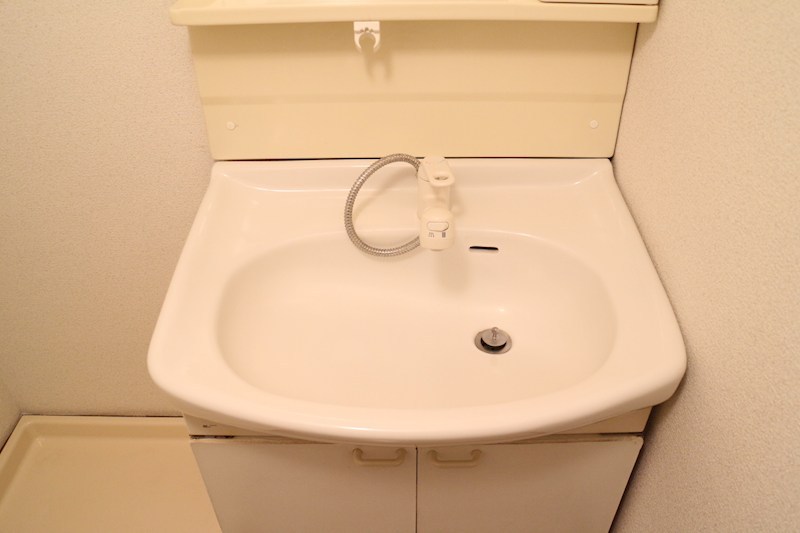 メナージュうえだ 洗面所