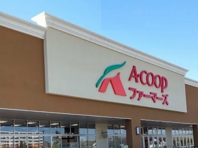 アンジュ その他