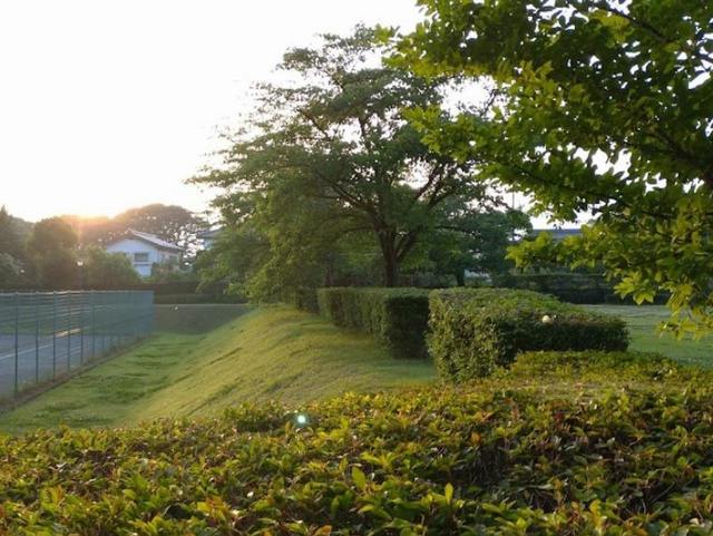 ブルースターⅡ その他