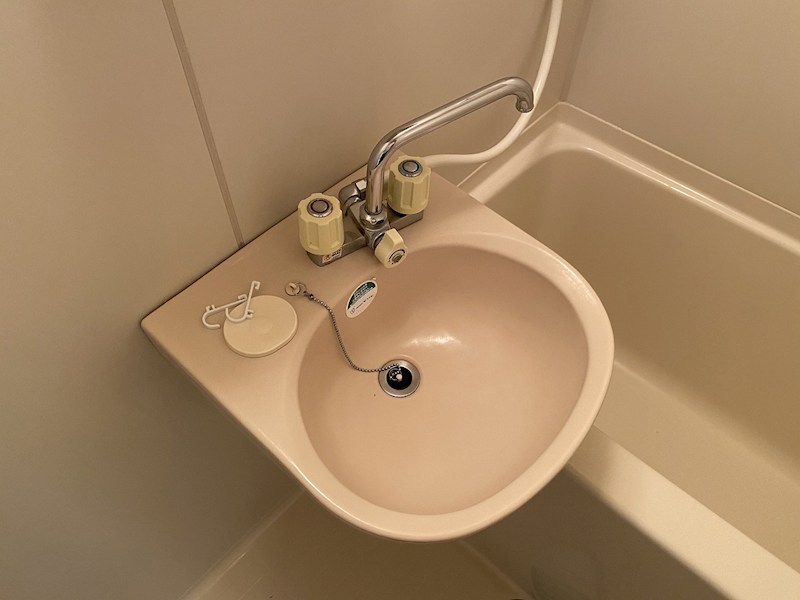 グリンイースト 洗面所
