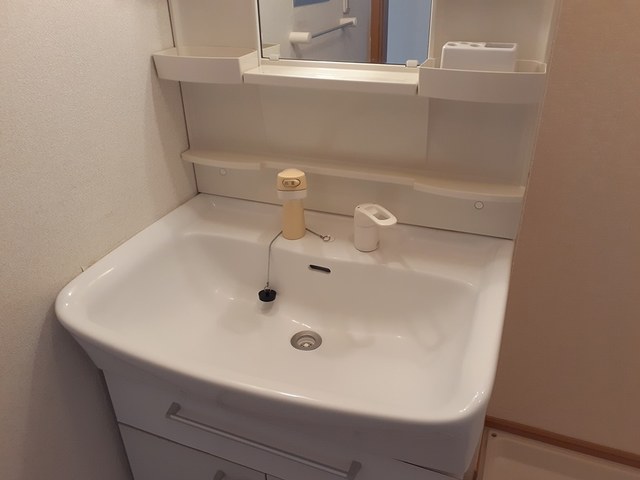 グランツ 洗面所