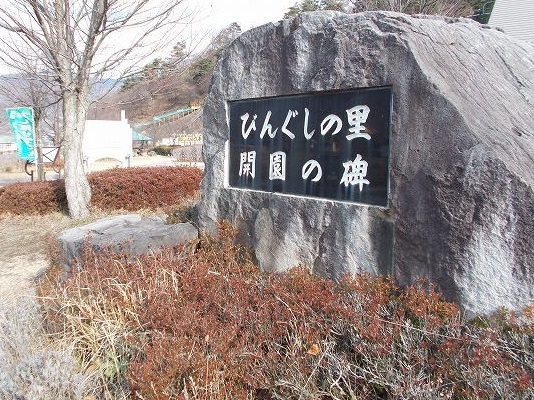 グリーンアングル その他