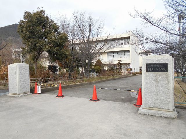 グリーンアングル その他