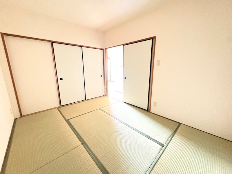 デミューズ木幡 その他部屋・スペース