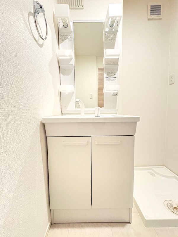 D-room宇治南山 洗面所