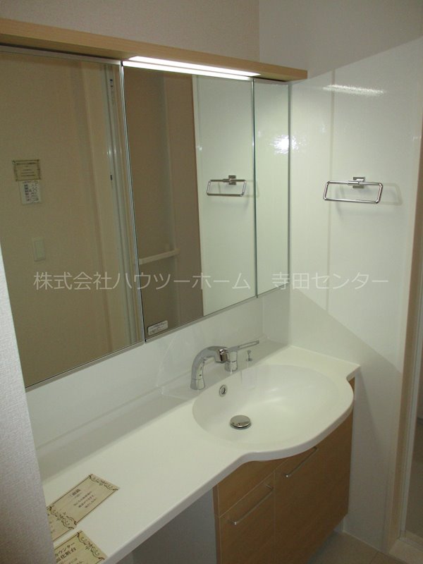 D-room久津川 洗面所