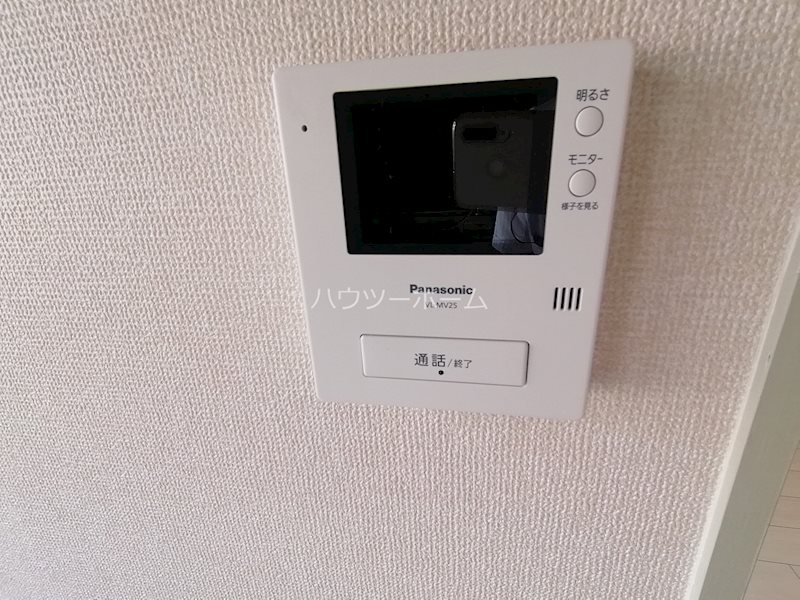 パレーシャル柳田 その他