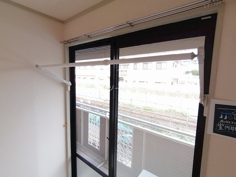 パレーシャル柳田 その他