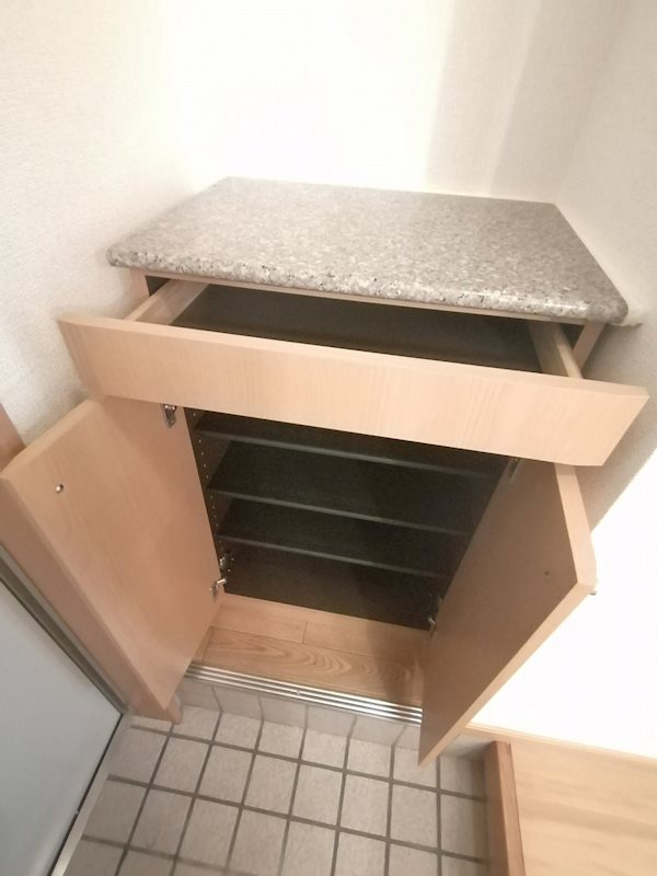 コウジィーコートⅡ 玄関