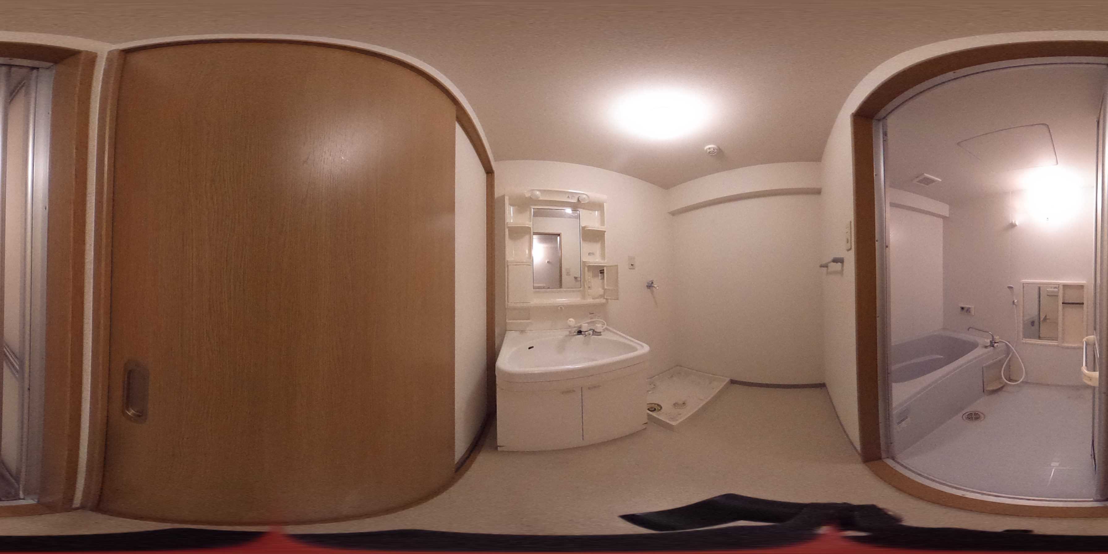 カーサヒラキ 洗面所