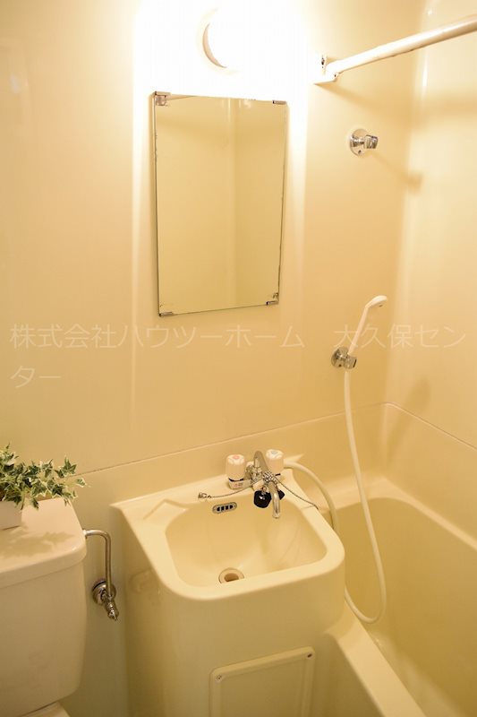 ベルメゾン2番館 洗面所