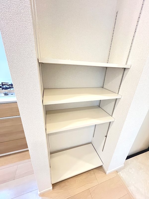 ウィスタリアⅡ 収納