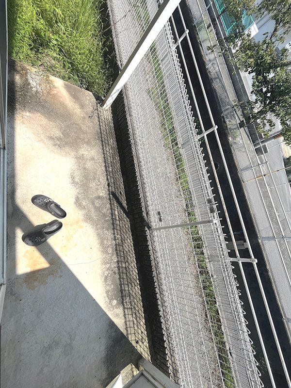 リバティフジムラ 庭